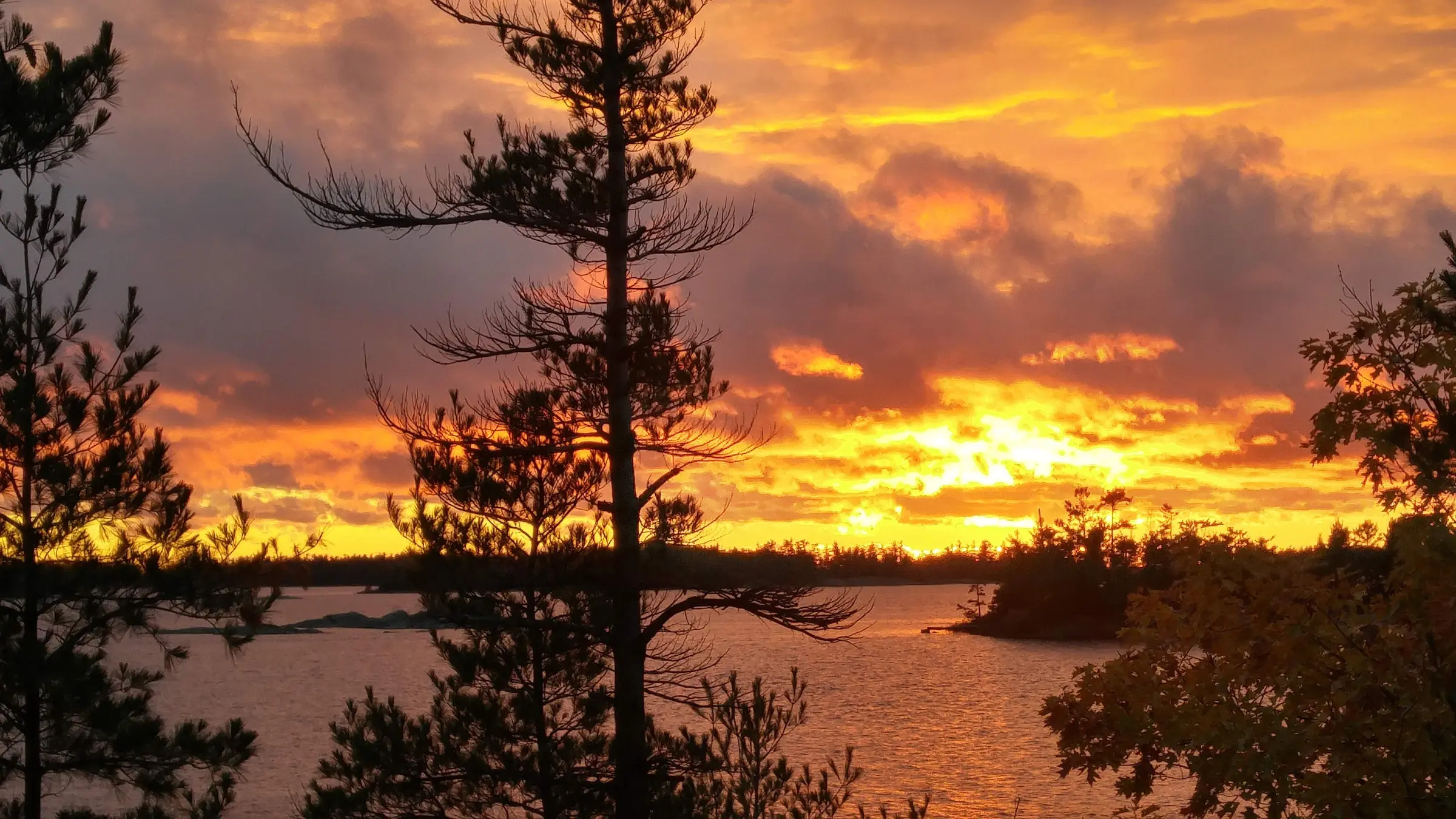 An orange sunset sky over Georgian Bay, framed by silhouetted pines